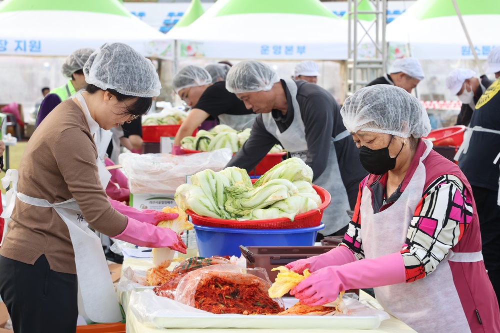 المشاركون في فعالية صنع الكيمتشي بمهرجان غويسان لصنع الكيمتشي عام 2023 يضعون التوابل على كرنب الكيمتشي يوم 3 نوفمبر في قرية غويسان بمقاطعة تشونغ تشيونغ الشمالية. (الصورة من إدارة قرية غويسان)