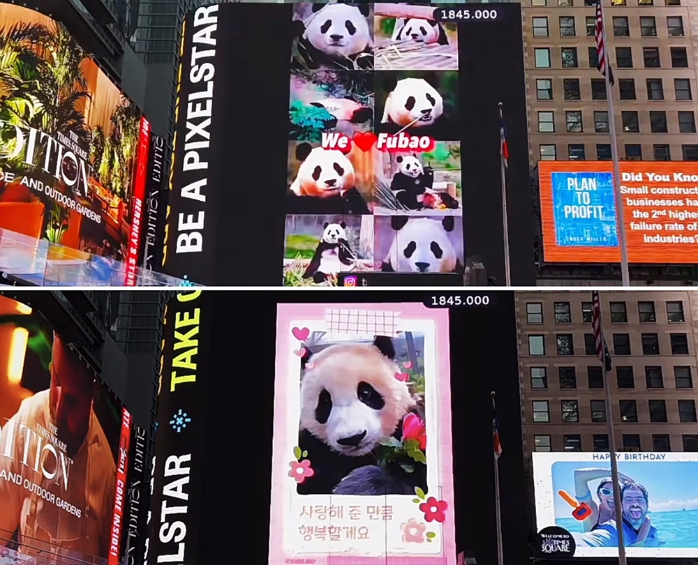 الصورة تظهر فيديو للباندا فو باو على شاشات عرض إلكترونية كبيرة في ميدان نيويورك تايمز في نيويورك بالولايات المتحدة الأمريكية في يوم 9 أبريل (بتوقيت الولايات المتحدة الأمريكية). ويقال إن هذا الفيديو تم صنعه بواسطة أموال المعجبين الصينيين الخاصة وبمساعدة من المعجبين اليابانيين الذين وفروا الصور والفيديوهات. (الصورة لقطة شاشة من بث تي إس إكس المباشر)
