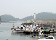 مهرجان منتجات ميناء تايان موهانج البحرية