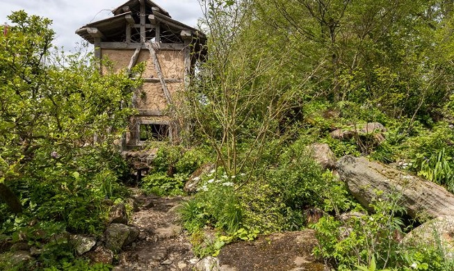 حديقة كورية تفوز بالجائزة الذهبية في معرض تشيلسي للزهور بالمملكة المتحدة