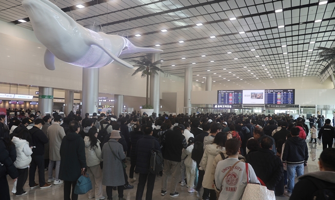 ازدحام مطار جيجو في اليوم الأخير من عطلة رأس السنة القمرية الجديدة