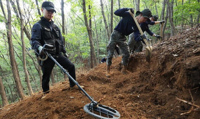 جنود ينقبون عن رفات قدامى المحاربين في الحرب الكورية