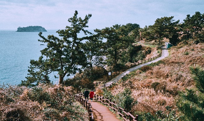 اختيار طريق ’جيجو أوللي‘ الكوري الجنوبي كواحد من أفضل 10 مسارات ساحلية في العالم