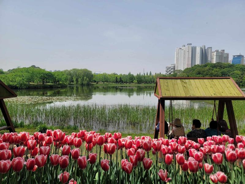 ’معرض غويانغ الدولي للزهور لعام 2024‘ افتتح في متنزه بحيرة إلسان في مدينة غويانغ، مقاطعة كيونغ كي في يوم 26 أبريل. وتظهر الصورة الزوار وهم يستمتعون بأجواء الربيع أمام البحيرة.