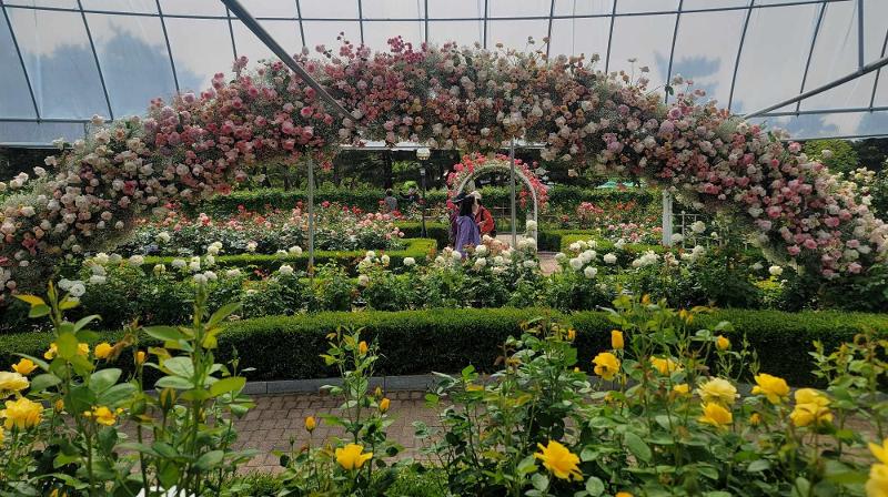 الزوار يستمتع بجمال أكثر من 60 نوعا من الورود في حديقة الورود.