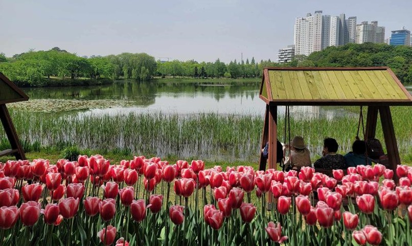 ’وليمة 100 مليون زهرة‘... افتتاح معرض غويانغ الدولي للزهور 2024
