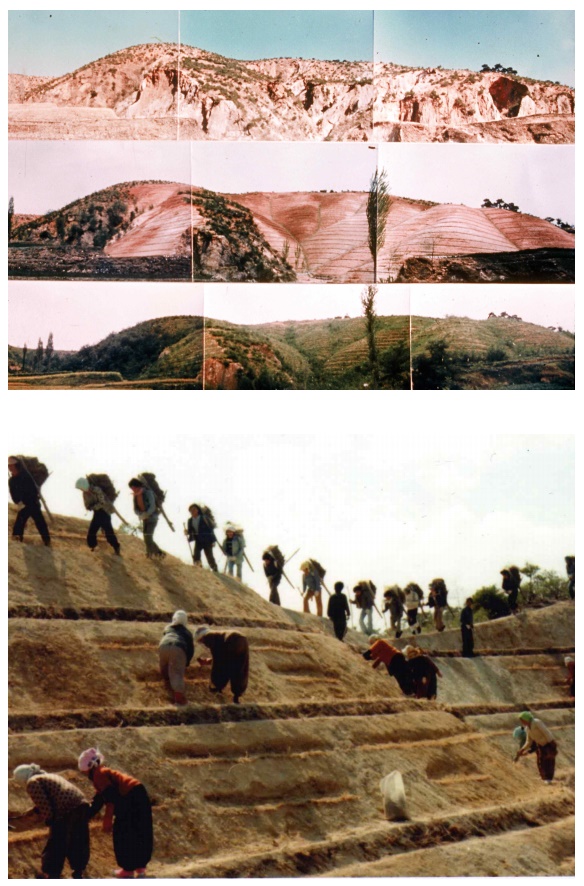 الصورة تظهر عملية تشجير الغابات على ساحل يونغ يل بمدينة بوهانغ في الفترة من عام 1973 إلى عام 1977. 