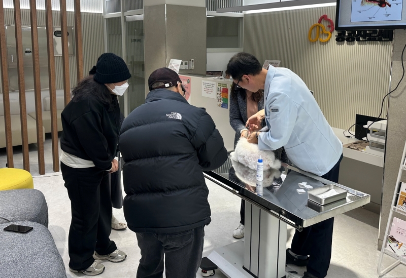 طاقم طبي في مركز غيمبو للخدمات الطبية العامة للحيوانات الأليفة يفحص أحد الكلاب الأليفة. (المصدر: مركز غيمبو للخدمات الطبية العامة للحيوانات الأليفة)