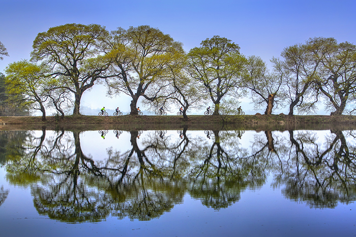 A silver prize winning photo captures people enjoying a bike ride in Bangokji, Gyeongsan-si City, Gyeongsangbuk-do Province. The lake reflects the bicyclists like a mirror, creating a wonderful picture.
