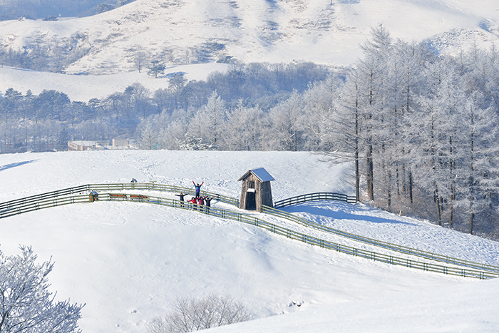 A photo of the Daegwallyeong Sheep Farm in winter wins a bronze prize. The photo captures a winter view of the farm in Gangwon-do Province.