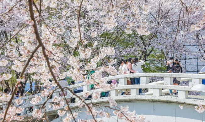 دعونا نسير على مسارات الزهور في أبريل ... 6 أماكن سياحية للزهور الربيعية  بناء على توصية منظمة السياحة
