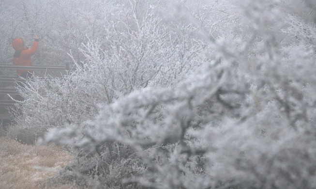 أول تساقط ثلوج على جبل هالا في جزيرة جيجو