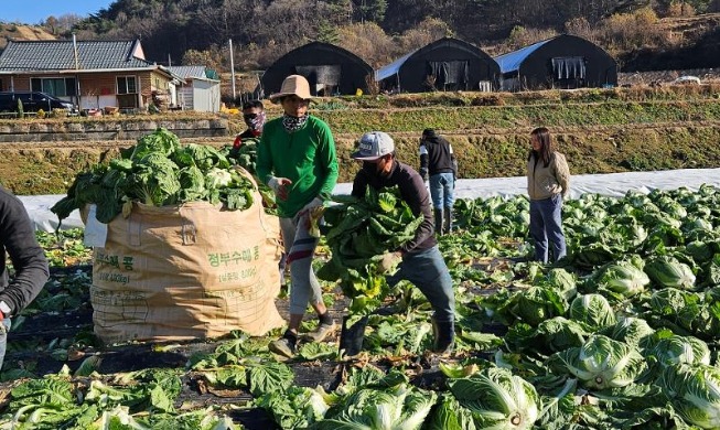 تحديد سقف استقدام العمالة الأجنبية غير المتخصصة عند 191 ألف عامل العام المقبل