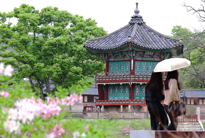 جولة في قصر غيونغبوك تحت مطر الربيع