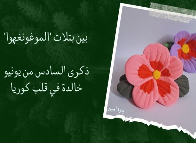 بين بتلات 'الموغونغهوا' ذكرى السادس من يونيو خالدة في قلب كوريا (المراسلة الفخرية)