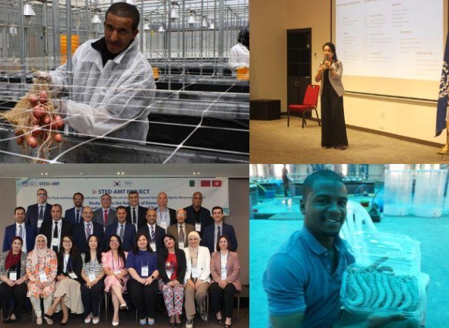 كوريا وأغسطس : قصة صمود وإلهام عالمي (المراسلة الفخرية)