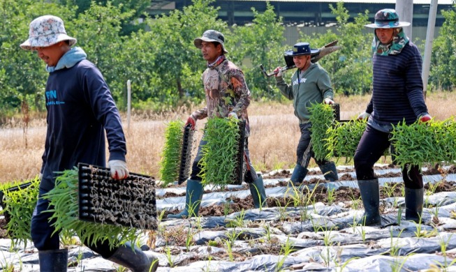 [حصاد 2025] ③ عصر 2.83 مليون مقيم أجنبي ··· تحول سياسات شؤون الأجانب من ’الإدارة‘ إلى ’الاستقرار الدائم‘