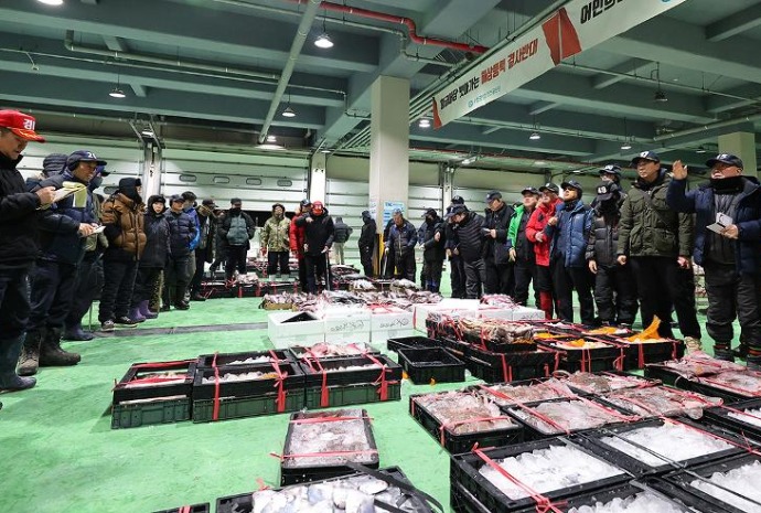 أول مزاد للأسماك في سوق السمك عام 2026