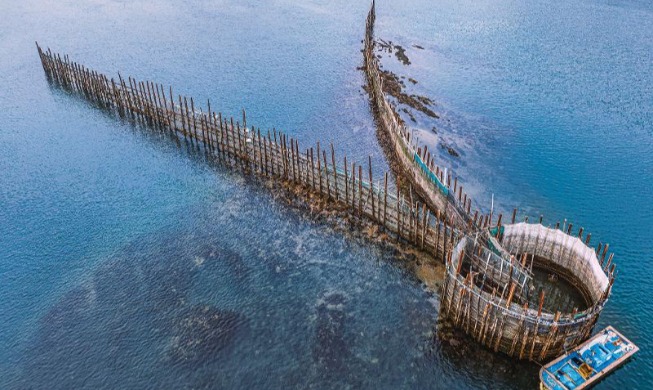 الزراعة ومصايد الأسماك الكورية التقليدية تدرج على قائمة نظم التراث الزراعي ذات الأهمية العالمية