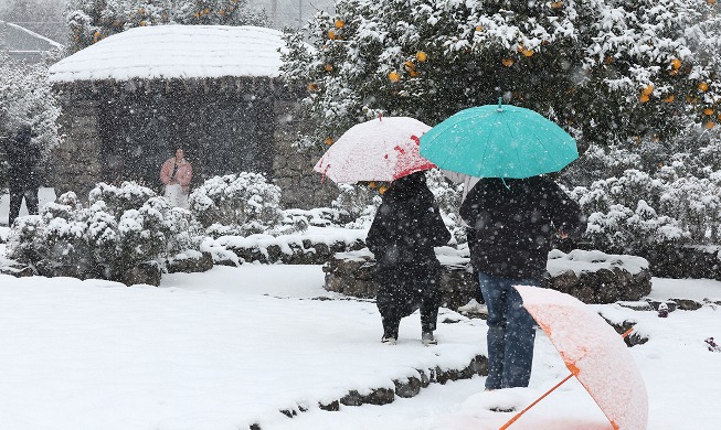 جمال جزيرة جيجو المغطاة بالثلوج