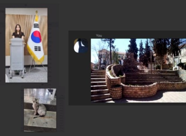 الإبداع في الصورة: تفاصيل حضوري الجلسة الأخيرة للمراسلين حول التصوير الفوتوغرافي لصنّاع المحتوى (المراسلة الفخرية)