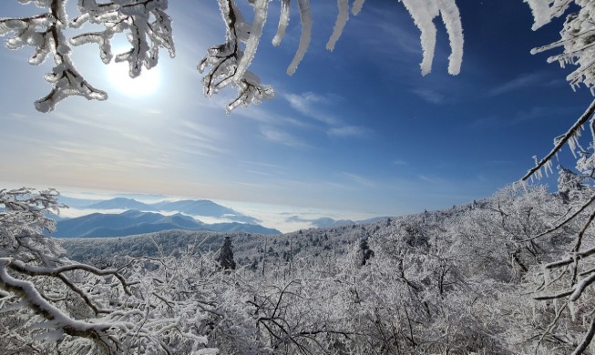 تعايش الشتاء والربيع في شبه الجزيرة الكورية