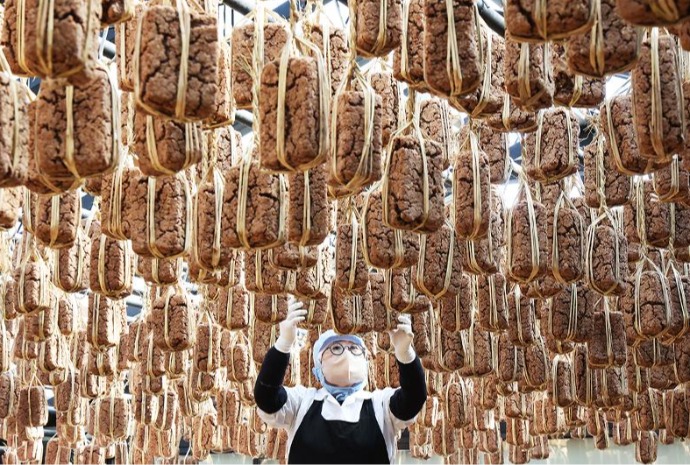 موسم ’الميجو‘ التقليدي الكوري