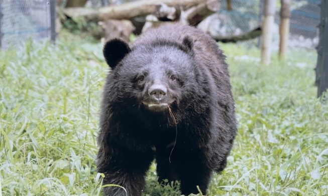  [مع الحيوانات، كوريا] ② رعاية لا استغلال.. ملاذات الحيوانات الآمنة في كوريا 