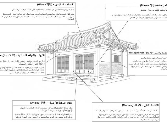 حوار مع المهندسة مزن: استلهام التهوية الطبيعية من الهانوك لبناء مستقبل أفضل (المراسلة الفخرية)