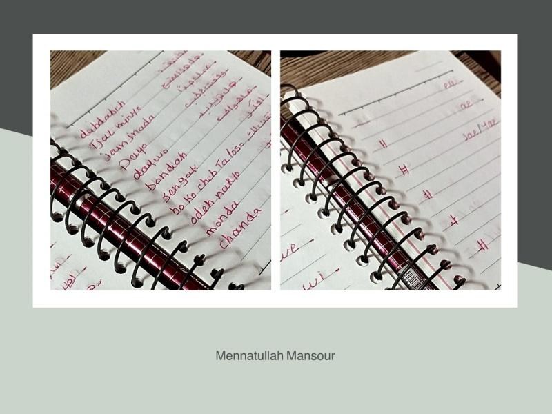 menna_2
