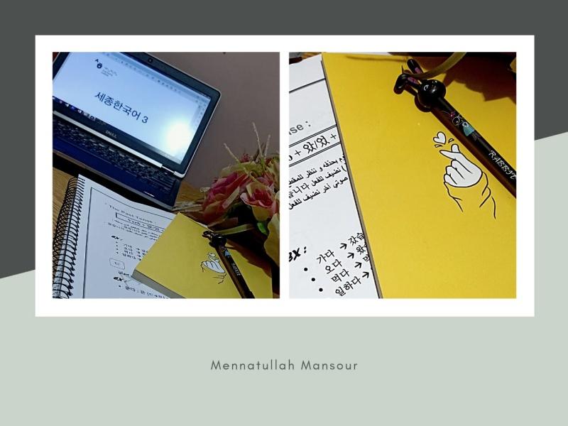 menna_4