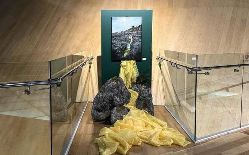 الصورة مثال لتوضيح كيف تمت إضافة عناصر خارجية مأخوذة من روح الأعمال لتضيف بعضا من الواقعية على الأعمال في المعرض الفني للفنان يانغ هي جين (حقوق ملكية الصور محفوظه للمصور يانغ هي جين)