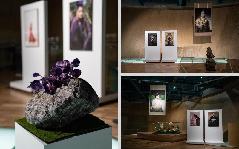 صورة مجمعة لعدسة المصور يانغ هي جين أثناء عرضها في المعرض الفني مع إضافة عناصر من الطبيعة لها علاقة بالمفهوم الخاص بالصور مثل الصخور وزهور اللوتس مع تعليق بعض الصور على شكل لفيفة(حقوق ملكية الصور محفوظه للمصور يانغ هي جين)