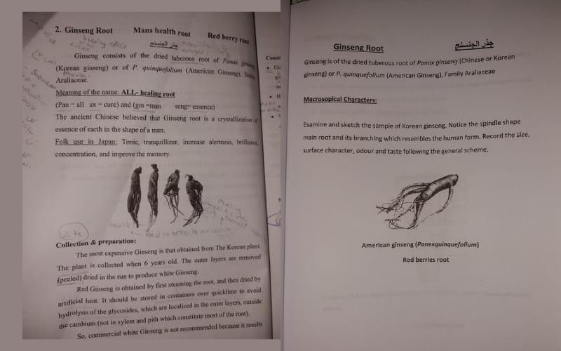 صورة التقطها من كتاب النباتات الطبية الذي درسته أثناء الكلية، توضح نبات الجينسنج الذي من أصل كوريا 