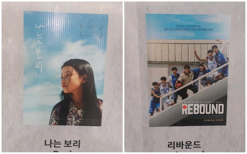 الصورة على اليمين توضح بوستر فيلم الإرتداد وعلى اليسار بوستر فيلم بوري (الصورة من خلود خالد ابواليزيد)