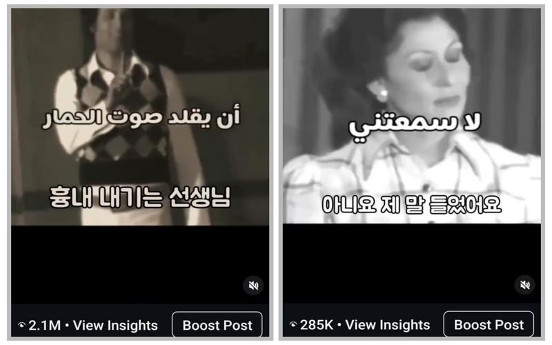 الصوره توضح الفيديوهات التعليميه بطريقه كوميديه وكم حجم المشاهدات التي اعجبت المهتمين بالثقافه الكورية. (الصورة من خلود خالد ابو اليزيد)