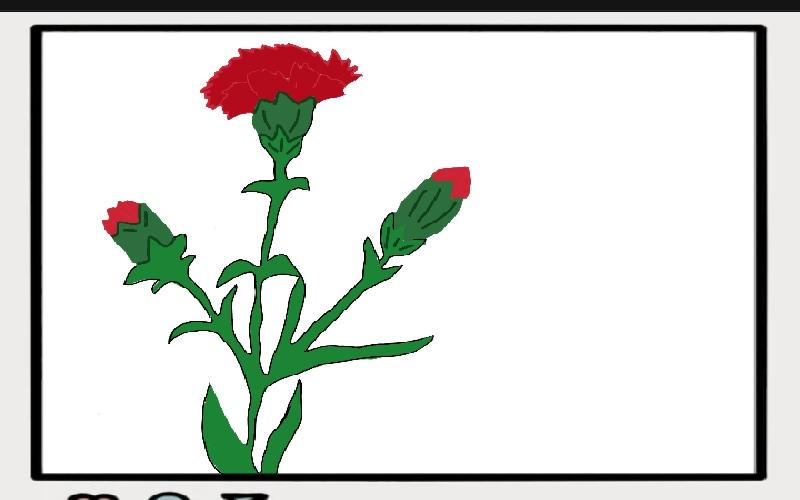 صورة توضح رسمة لزهرة القرنفل الحمراء. (الصورة من رسم المراسلة الفخرية أميرة فرحات)