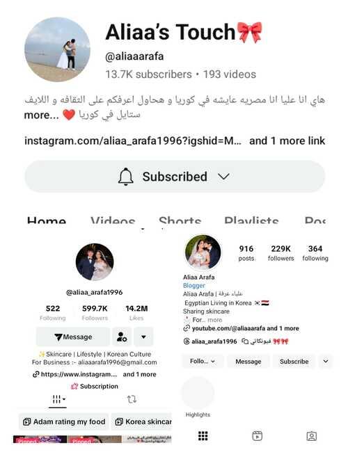 اسكرين شوت لجميع حسابات علياء عرفة على مواقع التواصل الاجتماعي. (الصورة من علياء عرفة وتم الحصول على إذن منها لاستخدامها)