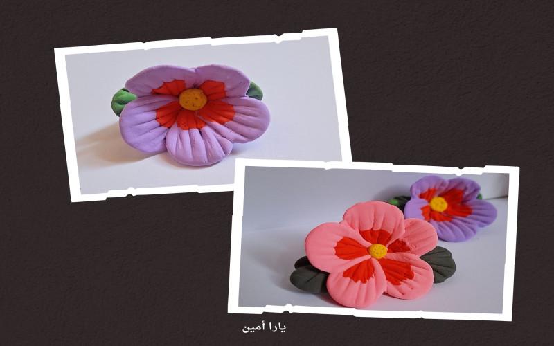 الشكل النهائي لزهره الموغونغهوا أو ما تُعرف بزهره الشارون باللوني الوردي والبنفسجي. (الصوره من يارا امين)