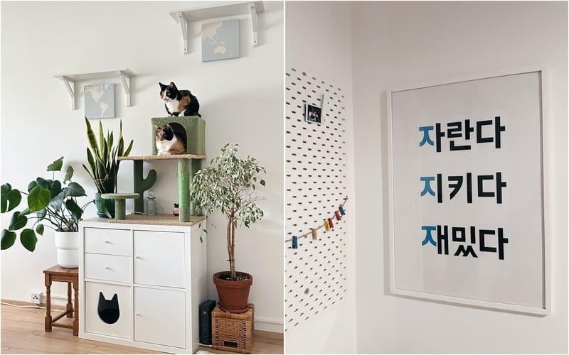 نرى في الصور القيم الجوهرية الثلاث لفريق 'تومي كوريان' (النمو)، (الحفاظ)، و(المتعة) على حائط المكتب الخاص بهم، وكذلك القطط اللطيفة بالمكتب الذي تم تصميمه بشكل مناسب لهم كذلك. (الصور من تومي وتم أخذ الإذن لاستخدامهم)