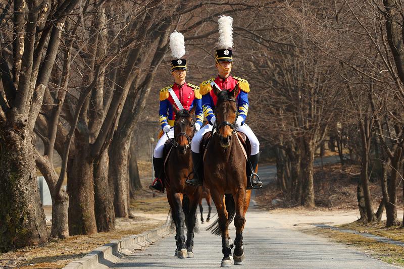 الطالبان الضابطان 'هو جون-سوك' (السنة الرابعة، على يسار الصورة) و'جانغ وون-هيوك' (السنة الثالثة) في جولة داخل حرم الأكاديمية. وهنا، لا تُقاس سمات الضابط في وحدة الخيالة بمجرد القوة البدنية، بل تتجلى في حركته المنضبطة؛ فوضعيات الجسم الثابتة والانضباط المتزن يعكسان قيمة الثقة التي تحرص الأكاديمية على غرسها في نفوس طلابها. 