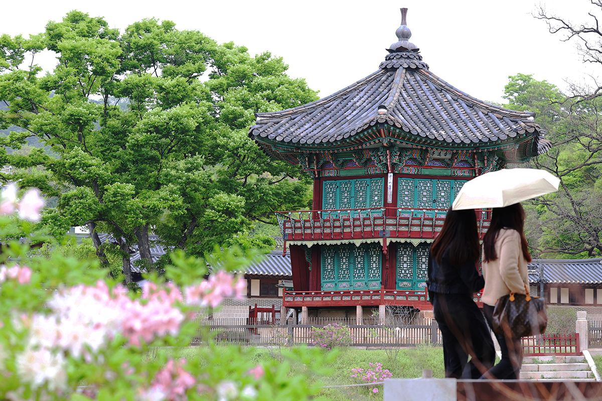 سياح أجانب يحتمون بالمظلات أثناء تجولهم في قصر غيونغبوك بحي جونغنو-غو في سيئول، وذلك يوم العشرين من أبريل الذي يصادف &rsquo;غوك-وو&lsquo;؛ وهو أحد المواسم التقليدية الذي يعني &laquo;مطر الربيع الذي يجعل الحبوب تنمو بغزارة&raquo;