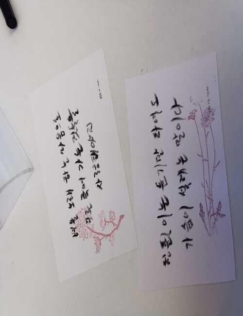 البطاقات التي قمت بكتابتها بالخط الكوري- (الصورة من أمنيه أمير)