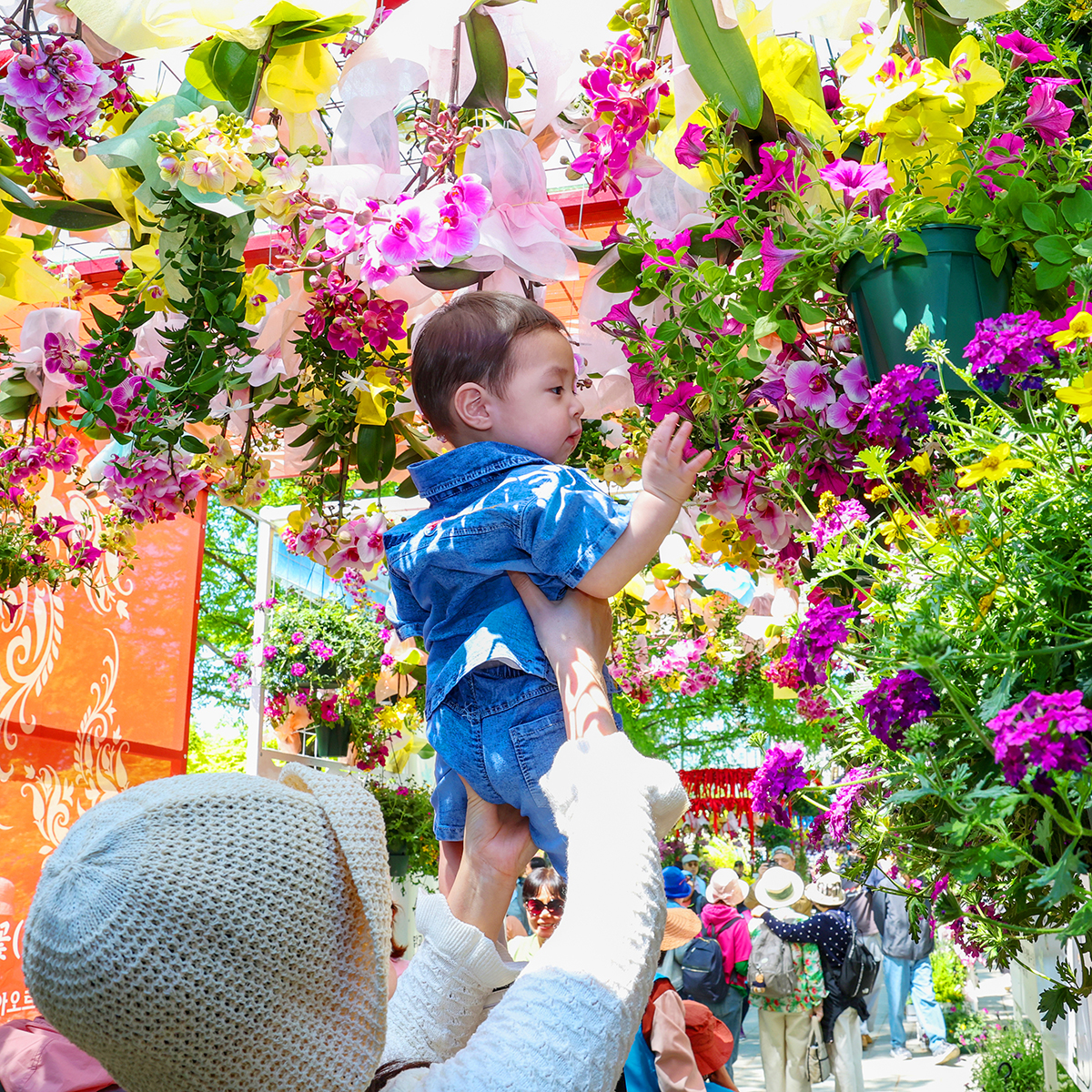Goyang International Flower Foundation 2026