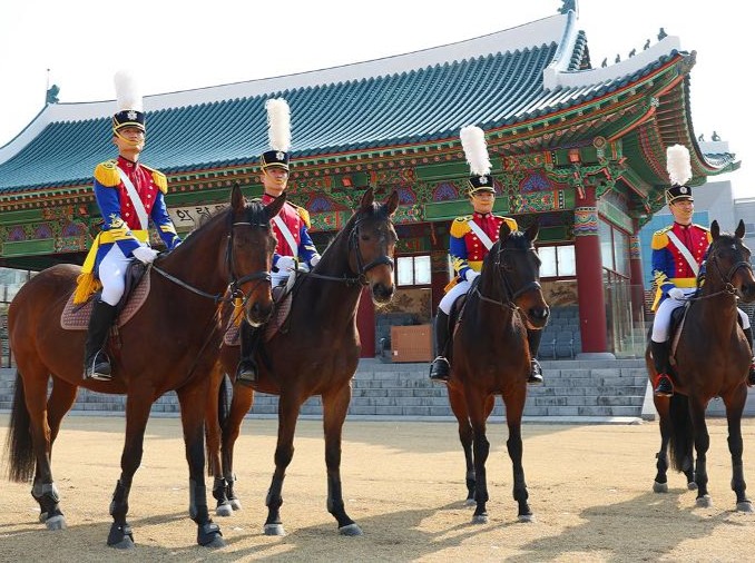 التواصل من خلال الانضباط والتوازن: الالتقاء بوحدة الخيالة في الأكاديمية العسكرية الكورية مع الصور