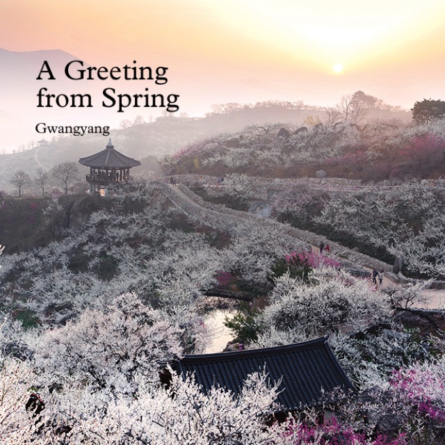 [Local Escape] A Greeting from Spring : Gwangyang main img